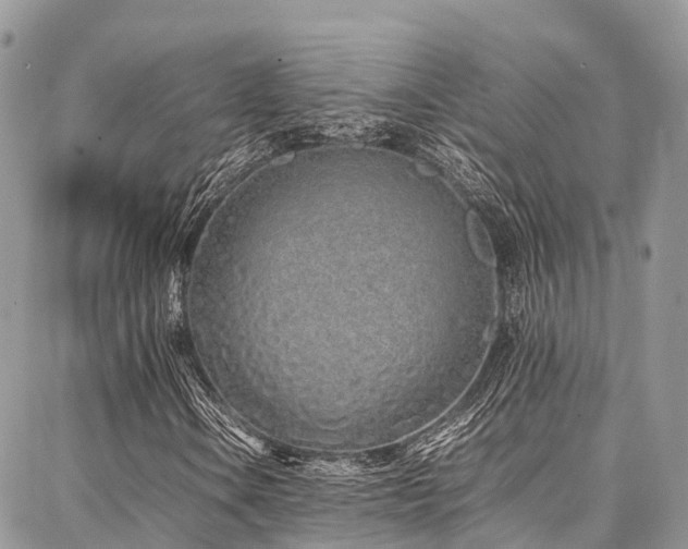 X0000087361106200704201140