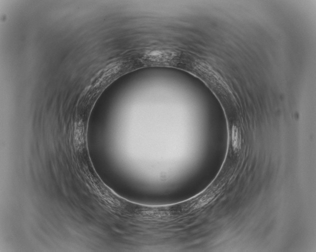 X0000087361107200704201140