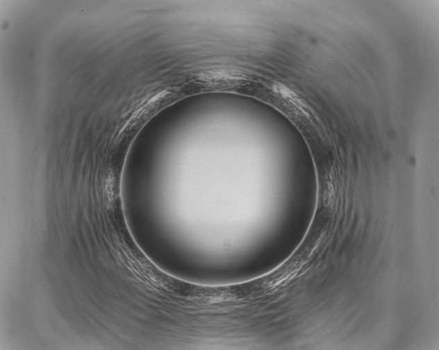 X0000087361108200704201140