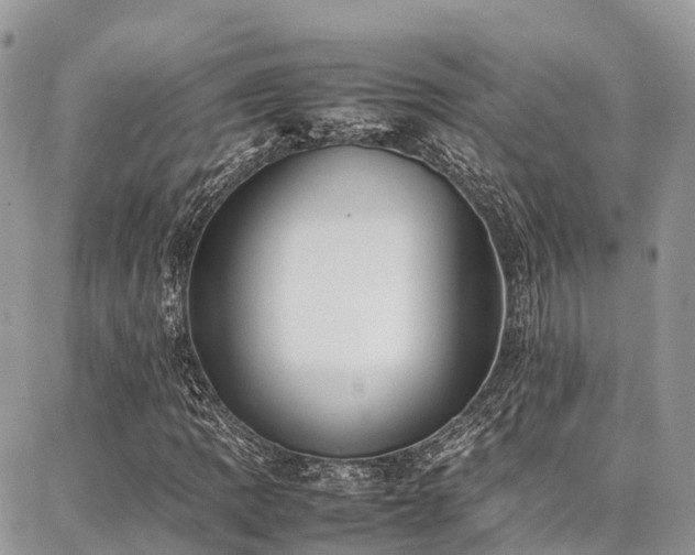 X0000087361109200704201140