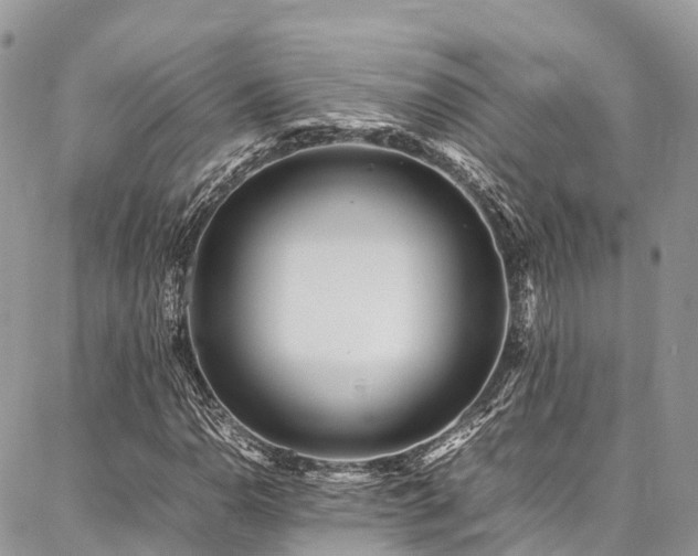 X0000087361110200704201140