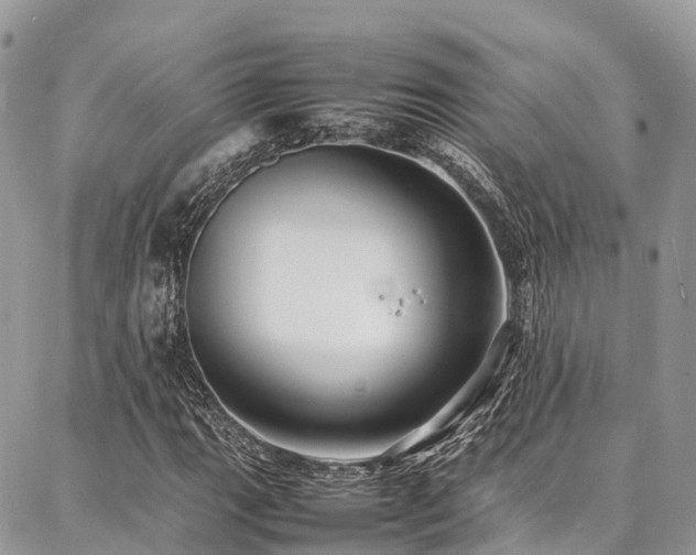 X0000087361111200704201140