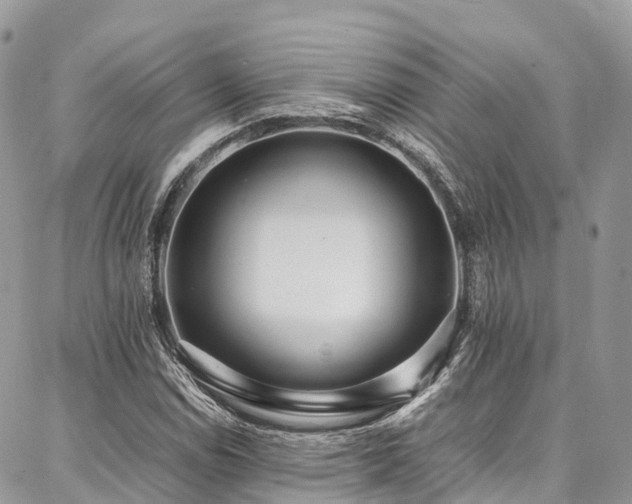 X0000087361114200704201140