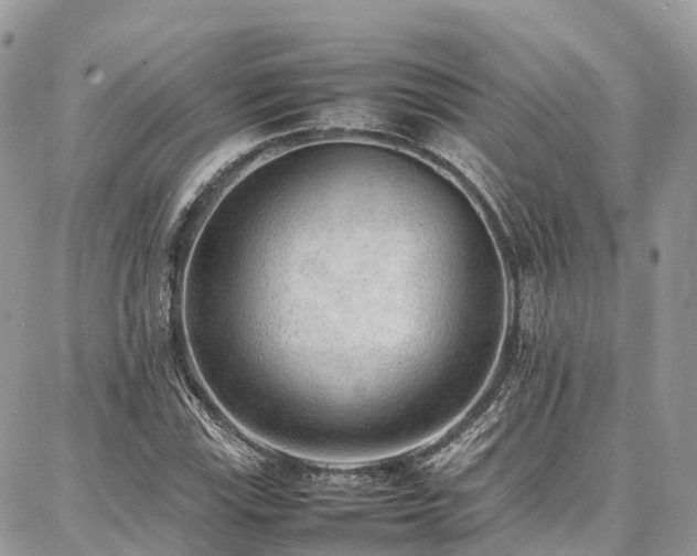 X0000087361115200704201140