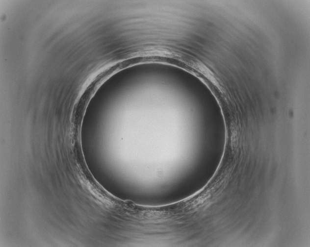 X0000087361116200704201140