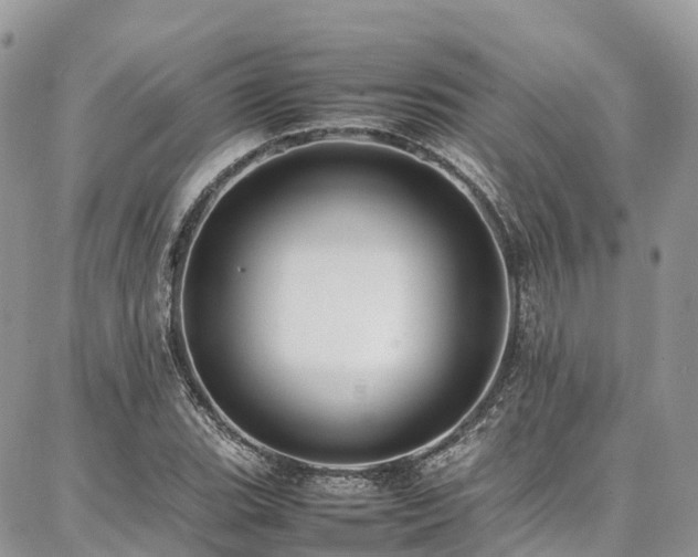 X0000087361119200704201140