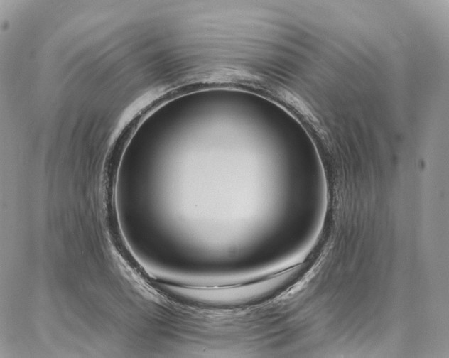 X0000087361122200704201140