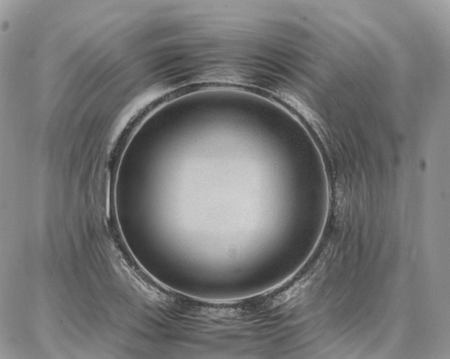 X0000087361123200704201140