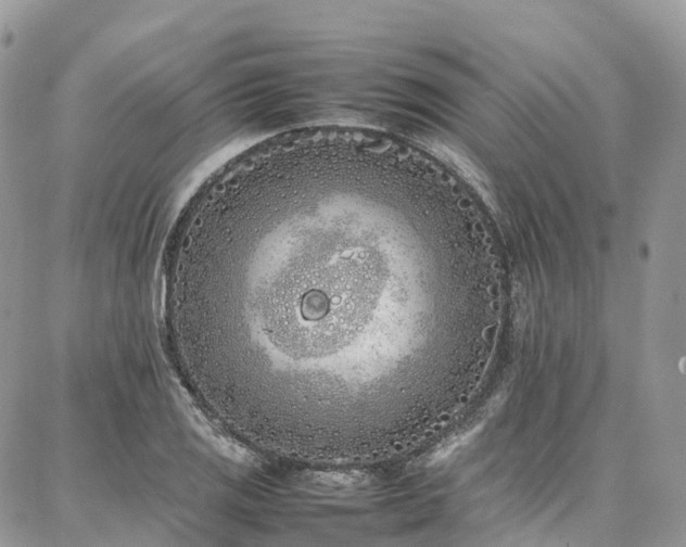 X0000087361125200704201140