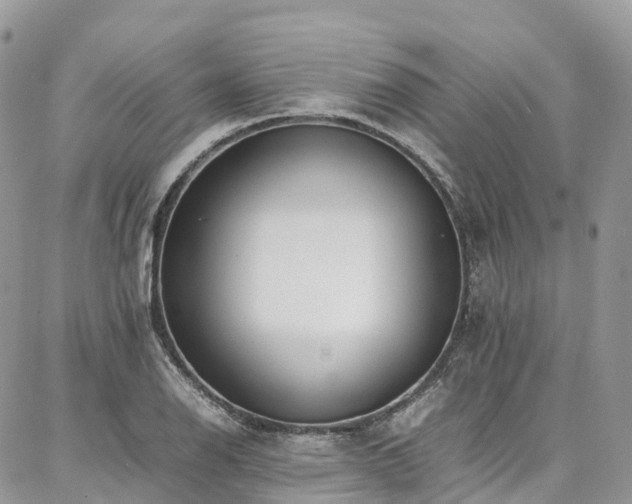 X0000087361126200704201140