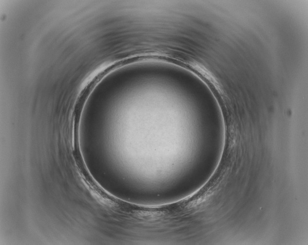 X0000087361127200704201140