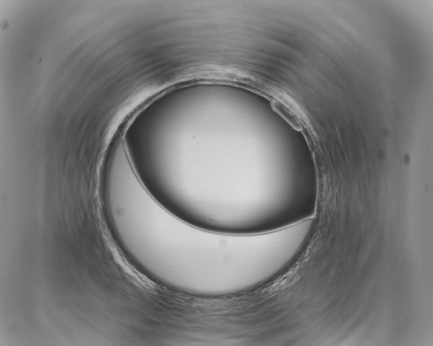 X0000087361128200704201140