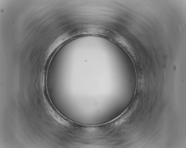 X0000087361130200704201140