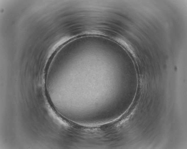 X0000087361133200704201140