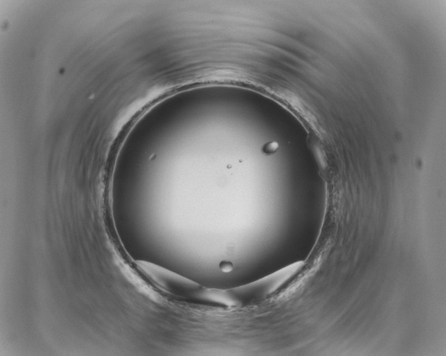 X0000087361134200704201140