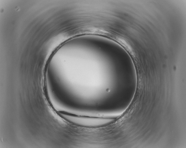 X0000087361136200704201140