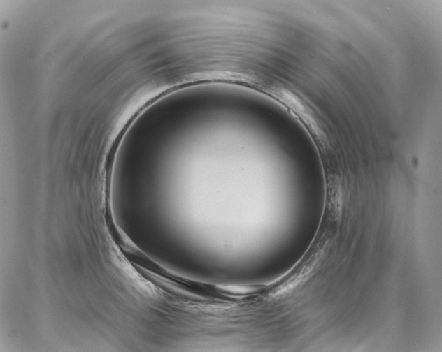 X0000087361140200704201141