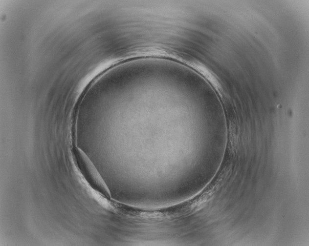 X0000087361142200704201141
