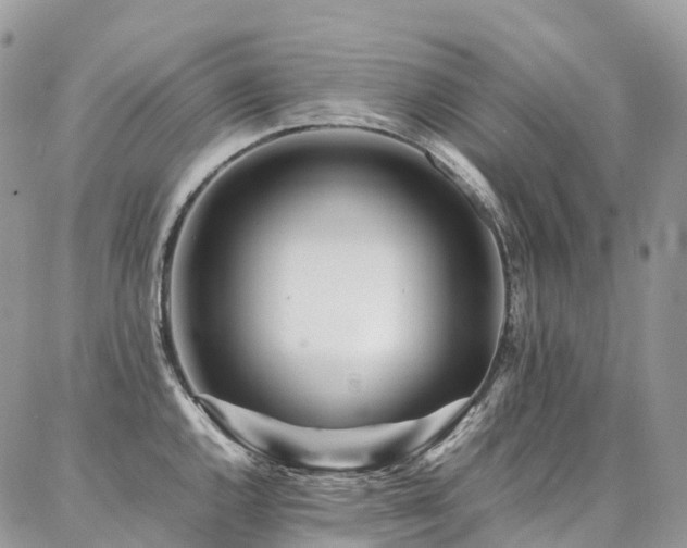 X0000087361144200704201141