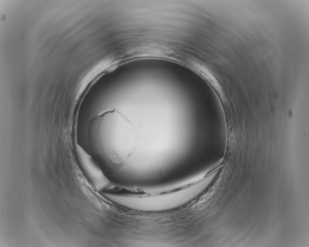 X0000087361146200704201141