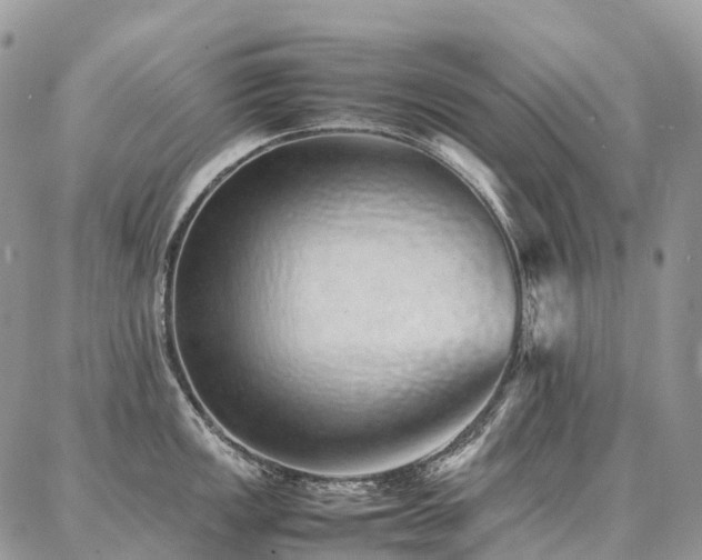 X0000087361149200704201141