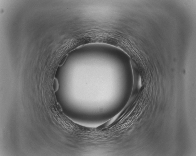 X0000087361153200704201140