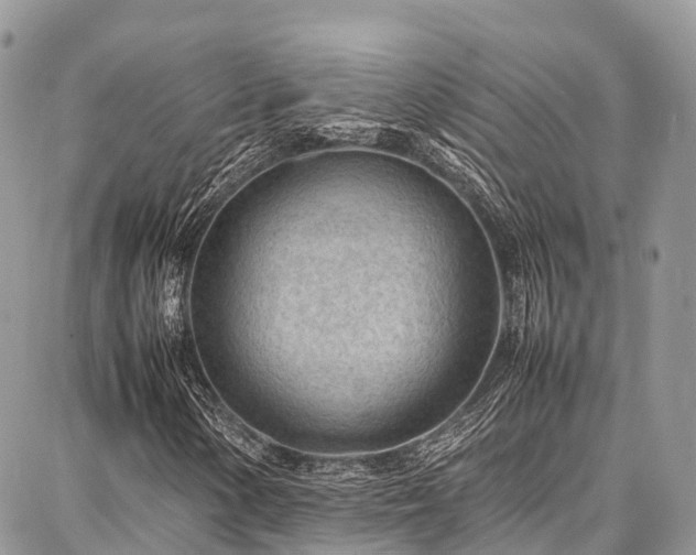 X0000087361154200704201140