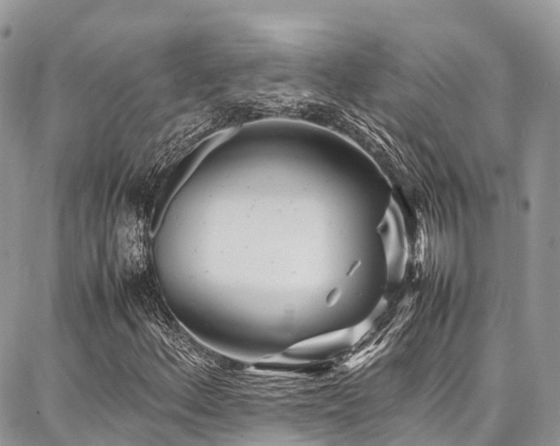 X0000087361156200704201140