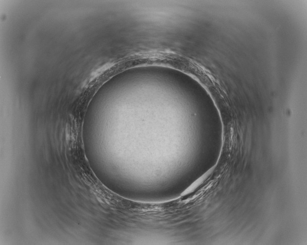 X0000087361158200704201140