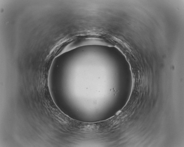 X0000087361160200704201140