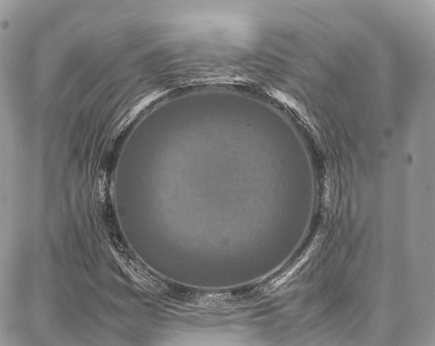 X0000087361161200704201140