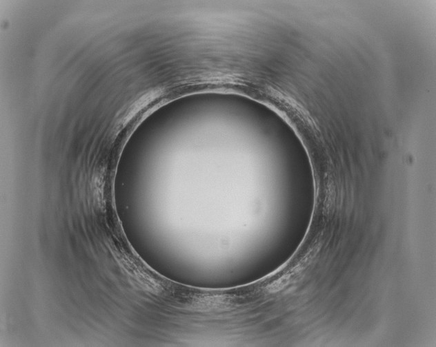 X0000087361162200704201140