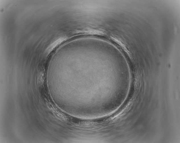 X0000087361163200704201140