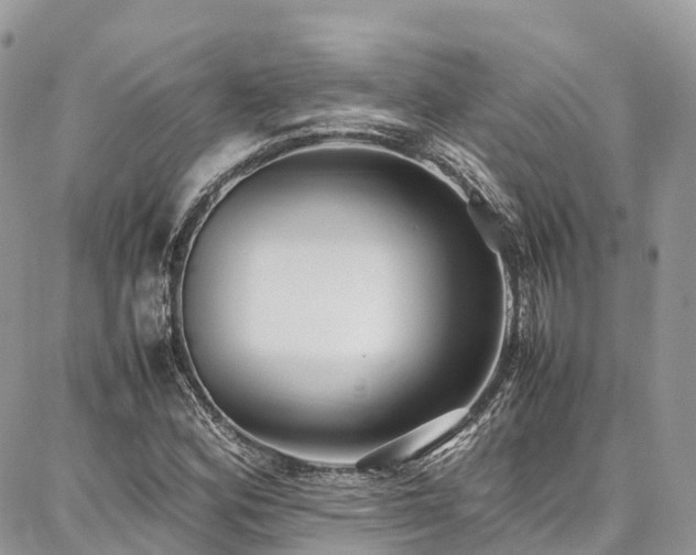 X0000087361164200704201140