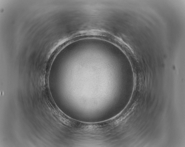 X0000087361166200704201140