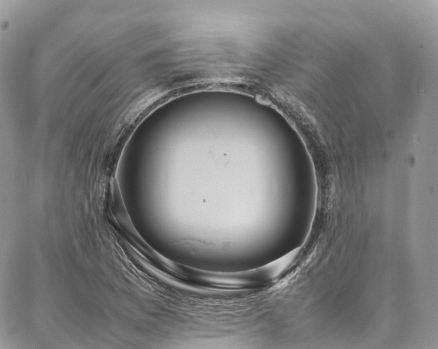 X0000087361169200704201140