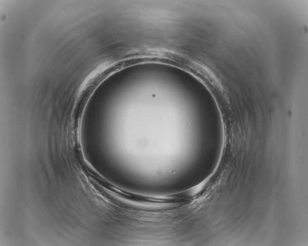 X0000087361172200704201140