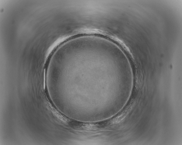 X0000087361175200704201140