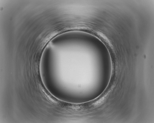 X0000087361177200704201140