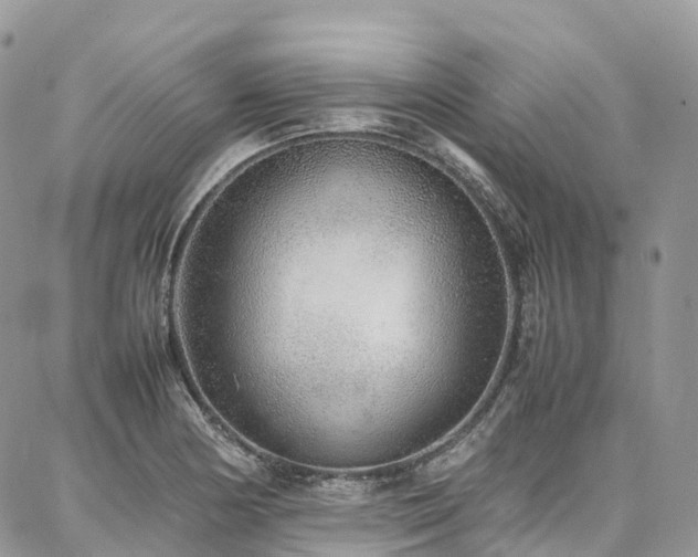 X0000087361178200704201140