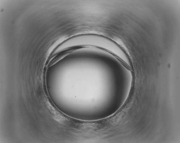 X0000087361181200704201139
