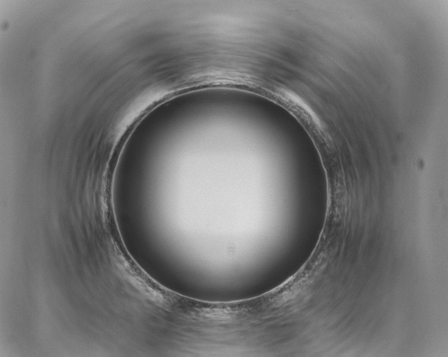 X0000087361182200704201139