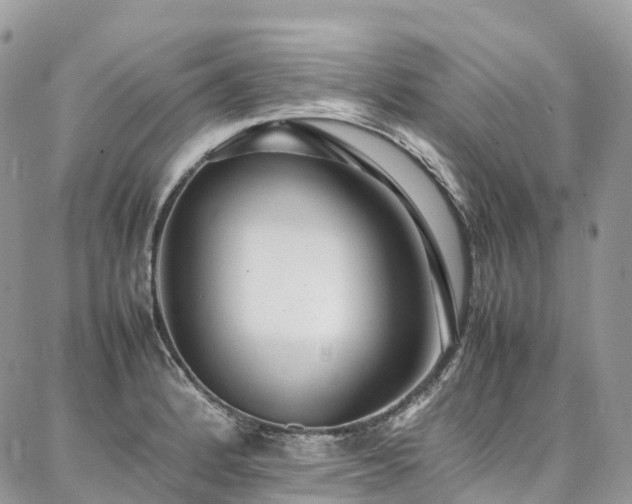 X0000087361184200704201139