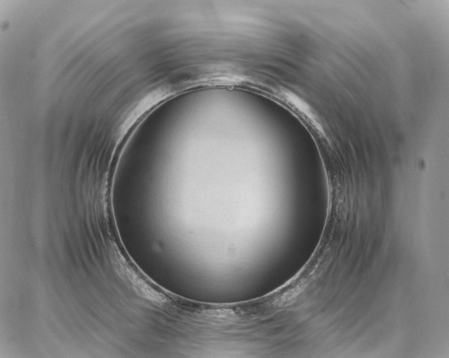 X0000087361186200704201139