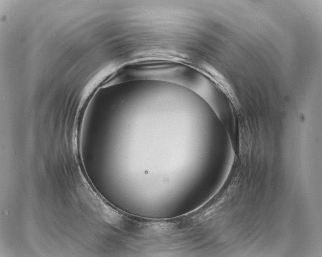 X0000087361188200704201139