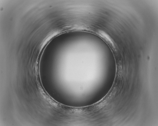 X0000087361190200704201139