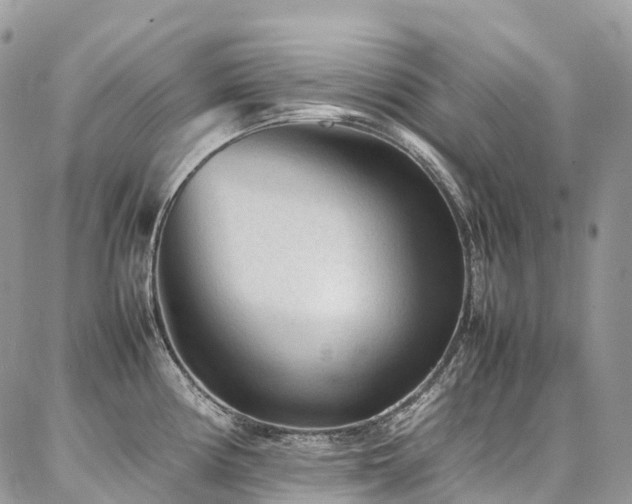 X0000087361194200704201139