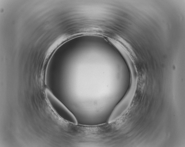 X0000087361196200704201139