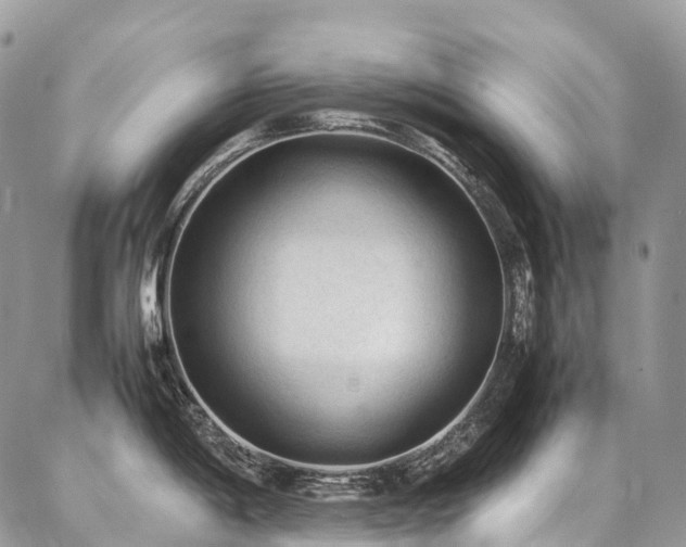 X0000087361198200704201139