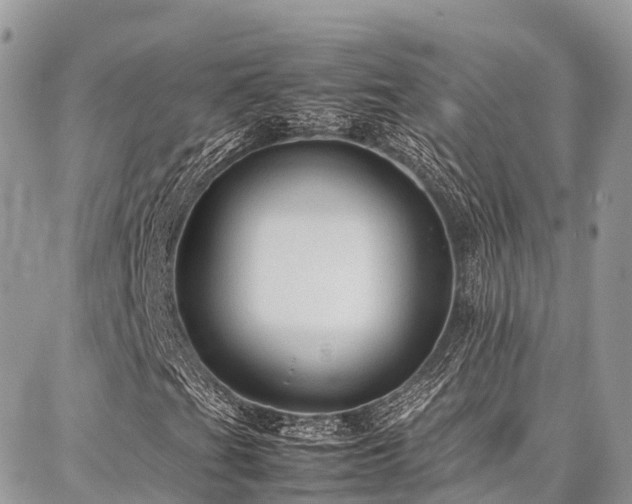 X0000087361201200704201138